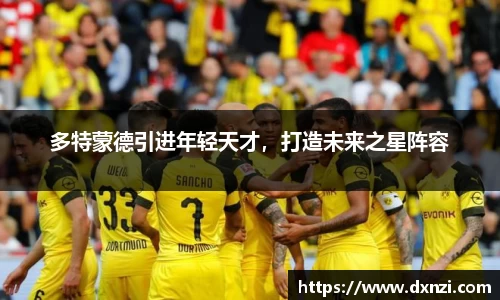多特蒙德引进年轻天才，打造未来之星阵容