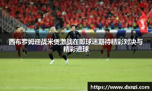 mk体育官网入口