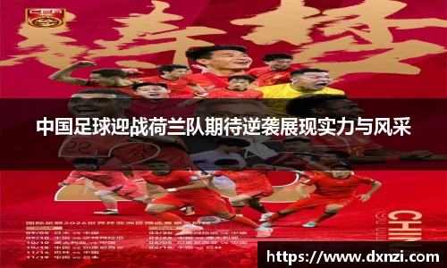 mk体育官网入口